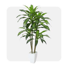 Plantes artificielles