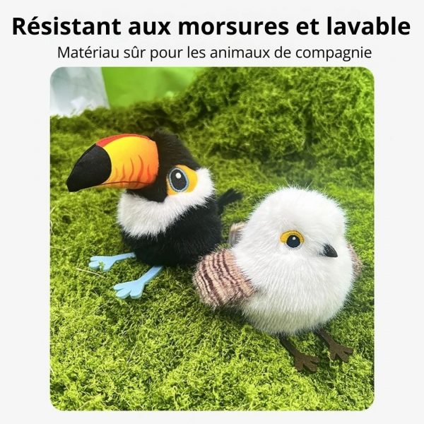 Jeu interactif oiseau réaliste pour chat - Occamarket