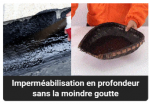 Fixéo - Spray d'étanchéité imperméable contre les fuites + Brosse - Occamarket