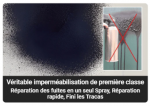 Fixéo - Spray d'étanchéité imperméable contre les fuites + Brosse - Occamarket
