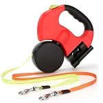 Laisse double anti-enroulement pratique avec lampe torche et sacs intégrés - Occamarket