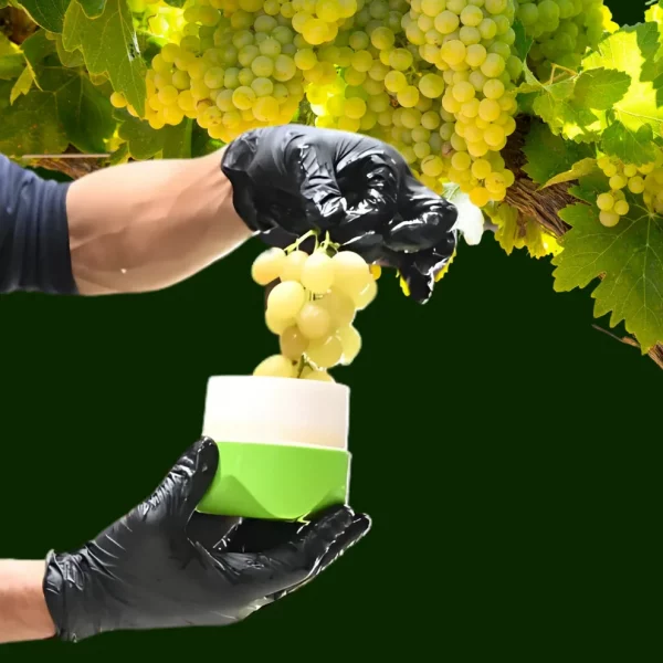 Juicy - Presse fruit révolutionnaire - Occamarket