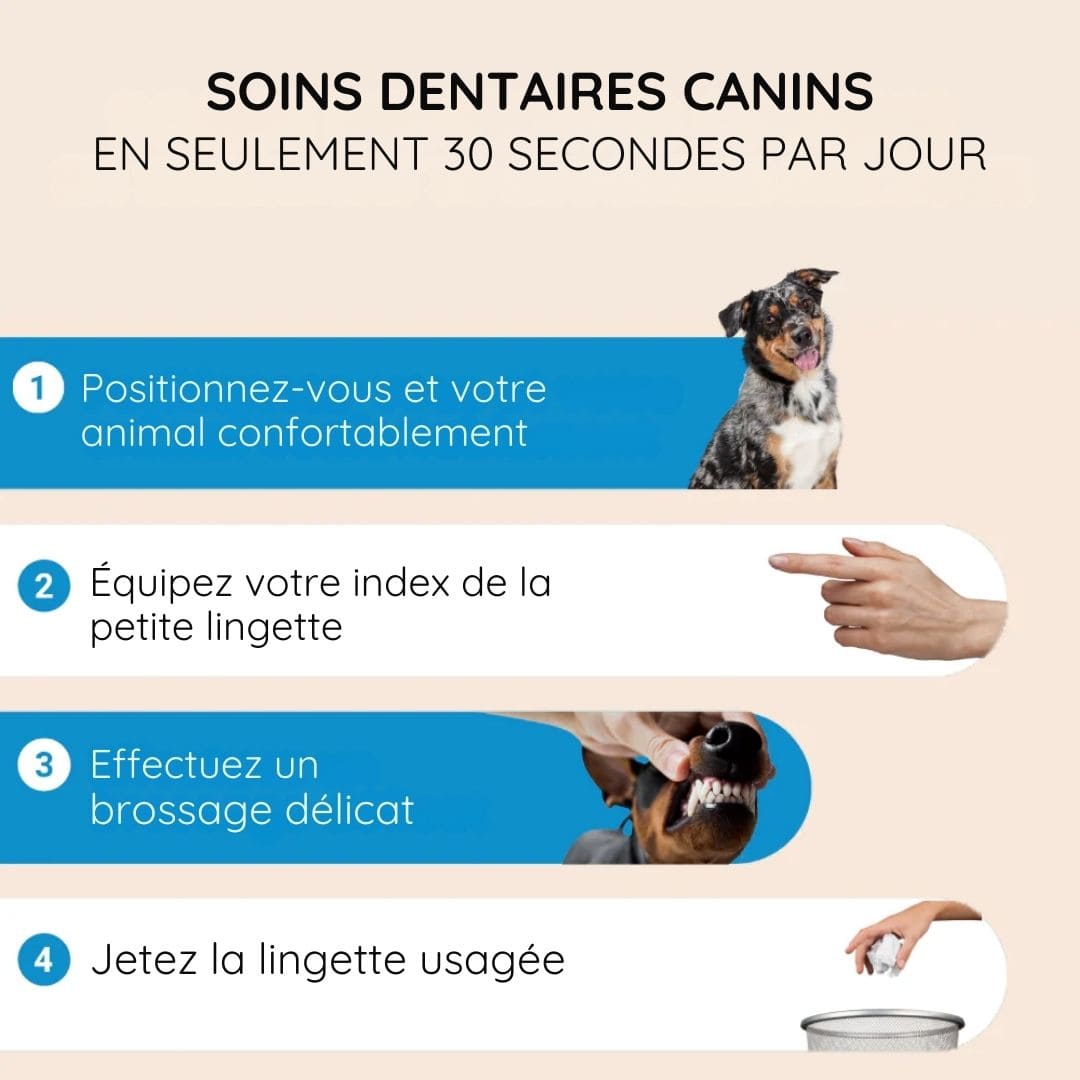 luxo7-32061-1 Lingettes dentaires pour chiens et chats (Boîte de 50 pièces) - Occamarket