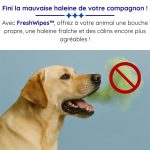Lingettes dentaires pour chiens et chats (Boîte de 50 pièces) - Occamarket