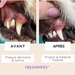 Lingettes dentaires pour chiens et chats (Boîte de 50 pièces) - Occamarket