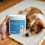 Lingettes dentaires pour chiens et chats (Boîte de 50 pièces) - Occamarket