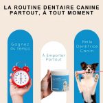 Lingettes dentaires pour chiens et chats (Boîte de 50 pièces) - Occamarket
