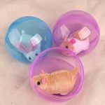 Jouet interactif dynamique pour chats - Occamarket