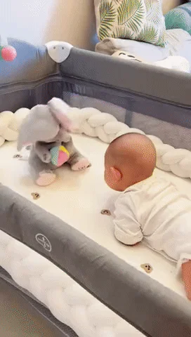 Peluche Éléphant Cache-cache™ – Le développement commence par le jeu - Occamarket