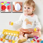 Ma méthode d'éveil montessori|Eggs shape™ - Occamarket