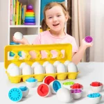 Ma méthode d'éveil montessori|Eggs shape™ - Occamarket