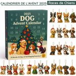 Calendrier de l'Avent 2025 Races de Chiens - Occamarket