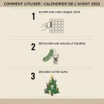 Calendrier de l'Avent 2025 Humoristique Carlin - Occamarket