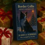 Calendrier de l'Avent 2025 Border Collie - Occamarket