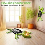 Jouet Robot Lézard Télécommandé Rampe sur les murs - Occamarket