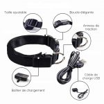 Collier LED de sécurité nocturne pour chien - Occamarket