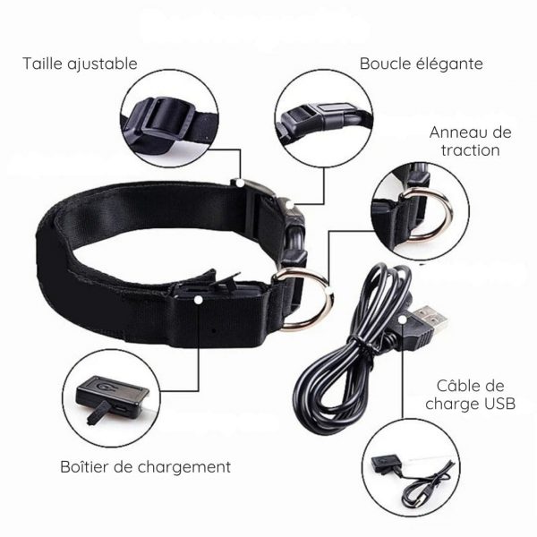 Collier LED de sécurité nocturne pour chien - Occamarket