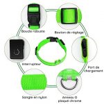 Collier LED de sécurité nocturne pour chien - Occamarket