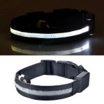 Collier LED de sécurité nocturne pour chien - Occamarket