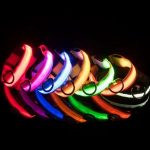 Collier LED de sécurité nocturne pour chien - Occamarket