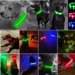 Collier LED de sécurité nocturne pour chien - Occamarket