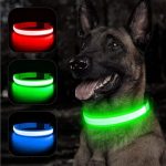 Collier LED de sécurité nocturne pour chien - Occamarket
