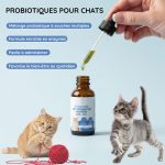 Probiotiques pour Chat - Améliore la Digestion, Soulage l'Inconfort et Augmente la Durée de Vie - Occamarket