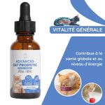 Probiotiques pour Chat - Améliore la Digestion, Soulage l'Inconfort et Augmente la Durée de Vie - Occamarket