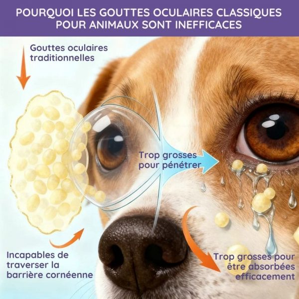 Solution Oculaire Quotidienne pour Chiens & Chats - Cataracte, conjonctivite, yeux sec - Occamarket