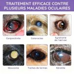 Solution Oculaire Quotidienne pour Chiens & Chats - Cataracte, conjonctivite, yeux sec - Occamarket