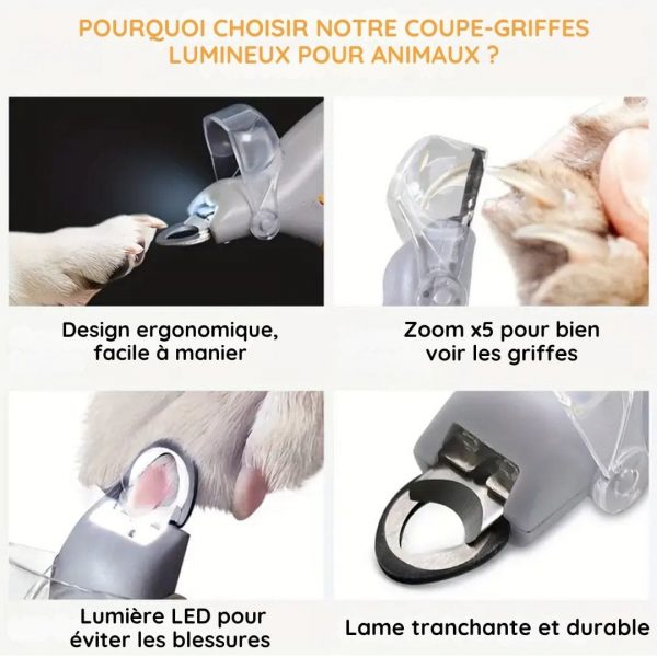 Coupe-ongles avec lumière LED et loupe pour animaux de compagnie - Occamarket