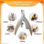 Coupe-ongles avec lumière LED et loupe pour animaux de compagnie - Occamarket