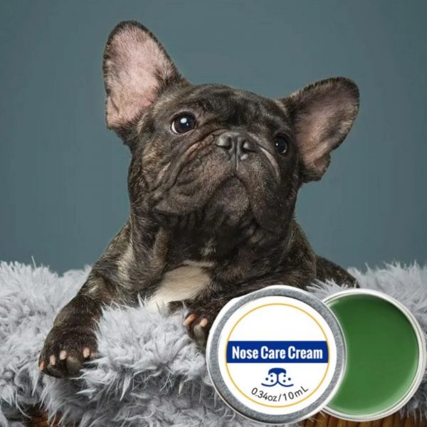Crème de Soin Hydratante pour Truffe de Chien - Occamarket