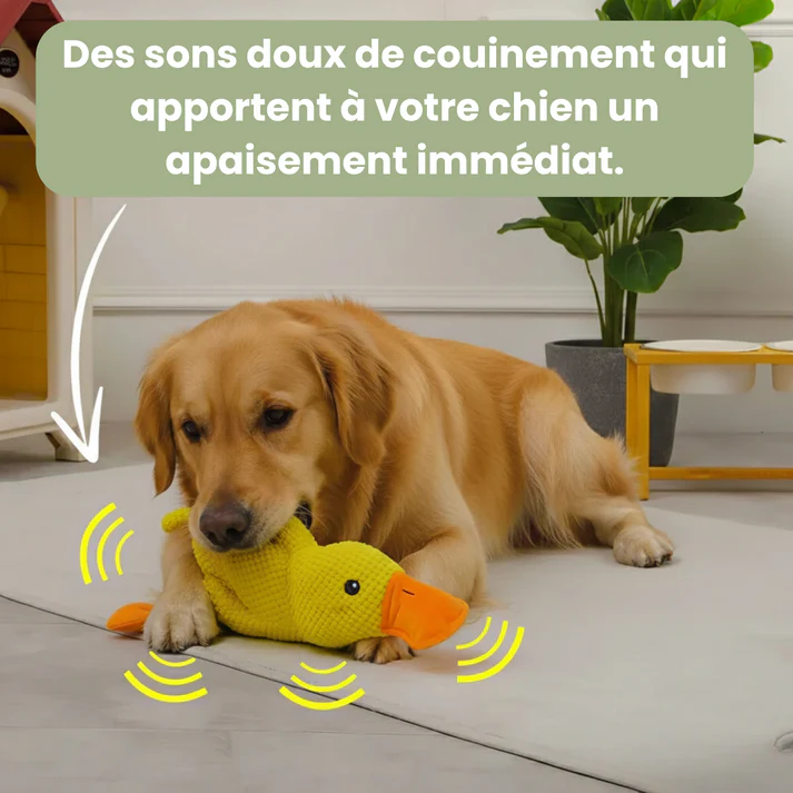 luxo7-35708-1 ZenDuck™ - Canard anti-stress - Occamarket