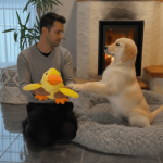 ZenDuck™ - Canard anti-stress - Occamarket