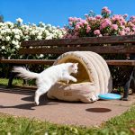 Comfy - Lit d’hiver ultra chaud pour chien et chat - Occamarket