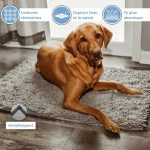 CleanPet - Fini les traces de pattes - Occamarket
