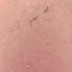 Pack Gant Exfoliant + Éponge Konjac - Occamarket