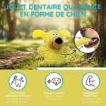 Jouet dentaire parlant pour chien - Occamarket