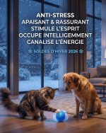 Ludika – Balle Interactive pour Chiens & Chats - Occamarket