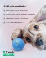 Ludika – Balle Interactive pour Chiens & Chats - Occamarket