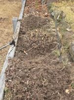 Houe de jardin avec manche télescopique 2-en-1 - Occamarket