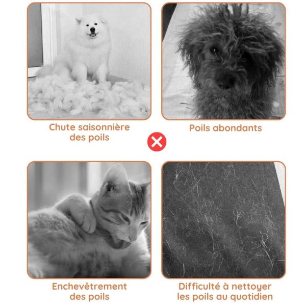 Brosse de toilettage pour chien et chat - Occamarket