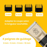 PETCARA - Set de toilettage professionnel pour chiens et chats - Occamarket