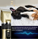 PETCARA - Set de toilettage professionnel pour chiens et chats - Occamarket