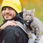 KittyTrack™ - Collier GPS Chat Temps Réel - Occamarket