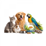 Animaux sur fond blanc