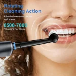 Brosse à Dents Électrique Rotative Ultrasonique - Nettoyage Profond & Blancheur, Têtes de Rechange Incluses – Image 3
