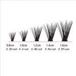 Cils Individuels MJ 8-16mm 200pcs – Extension de Cils DIY Effet Naturel, Volume en Touffes – Image 2